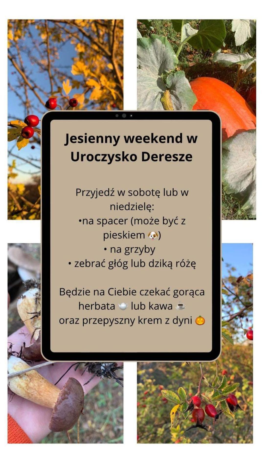 Uroczysko Deresze Vila Gilawy Exterior foto